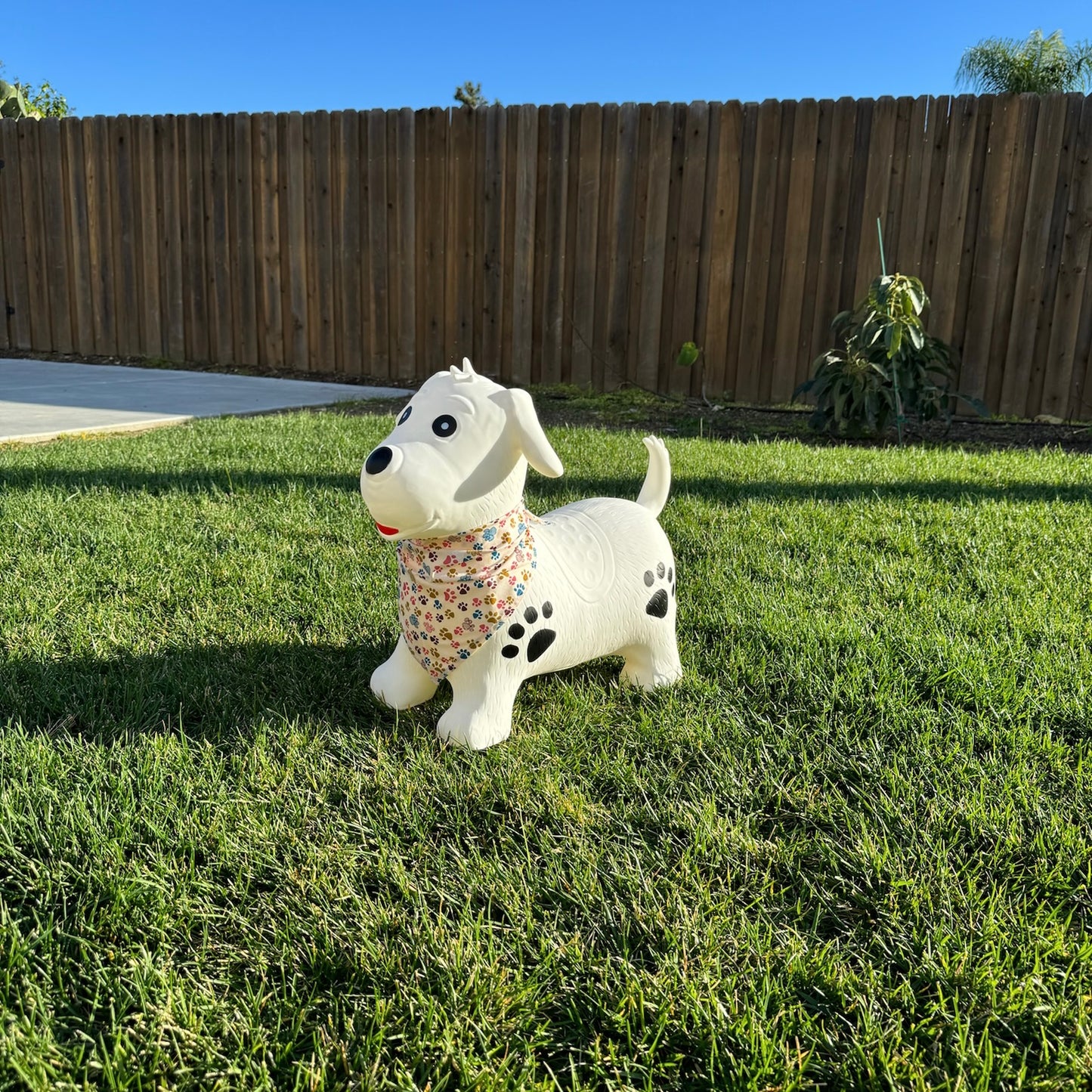 Toddler Hopper