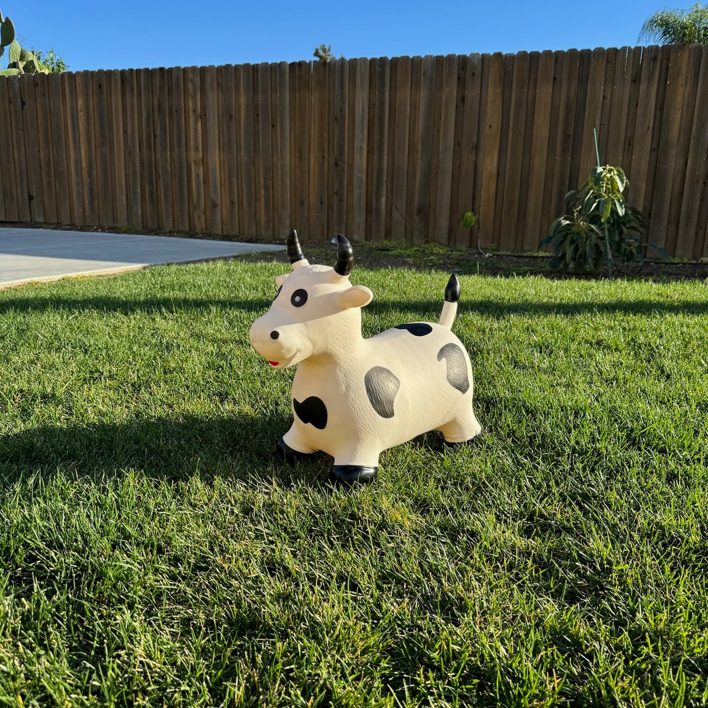 Toddler Hopper