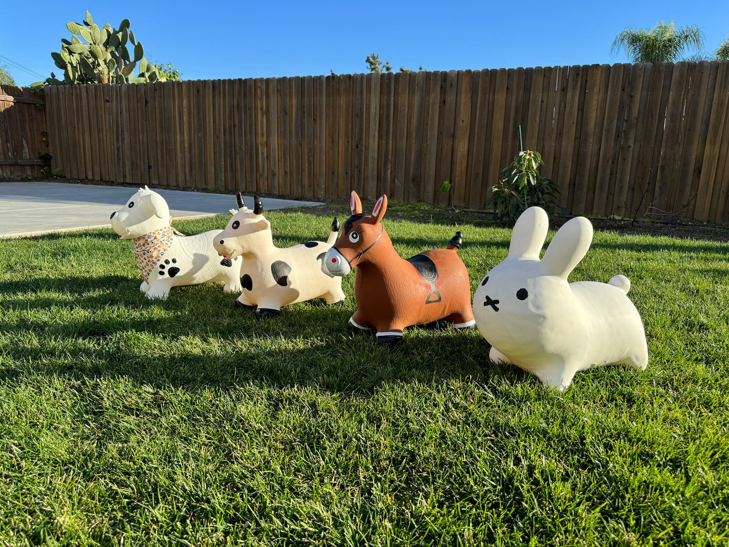 Toddler Hopper