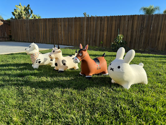Toddler Hopper