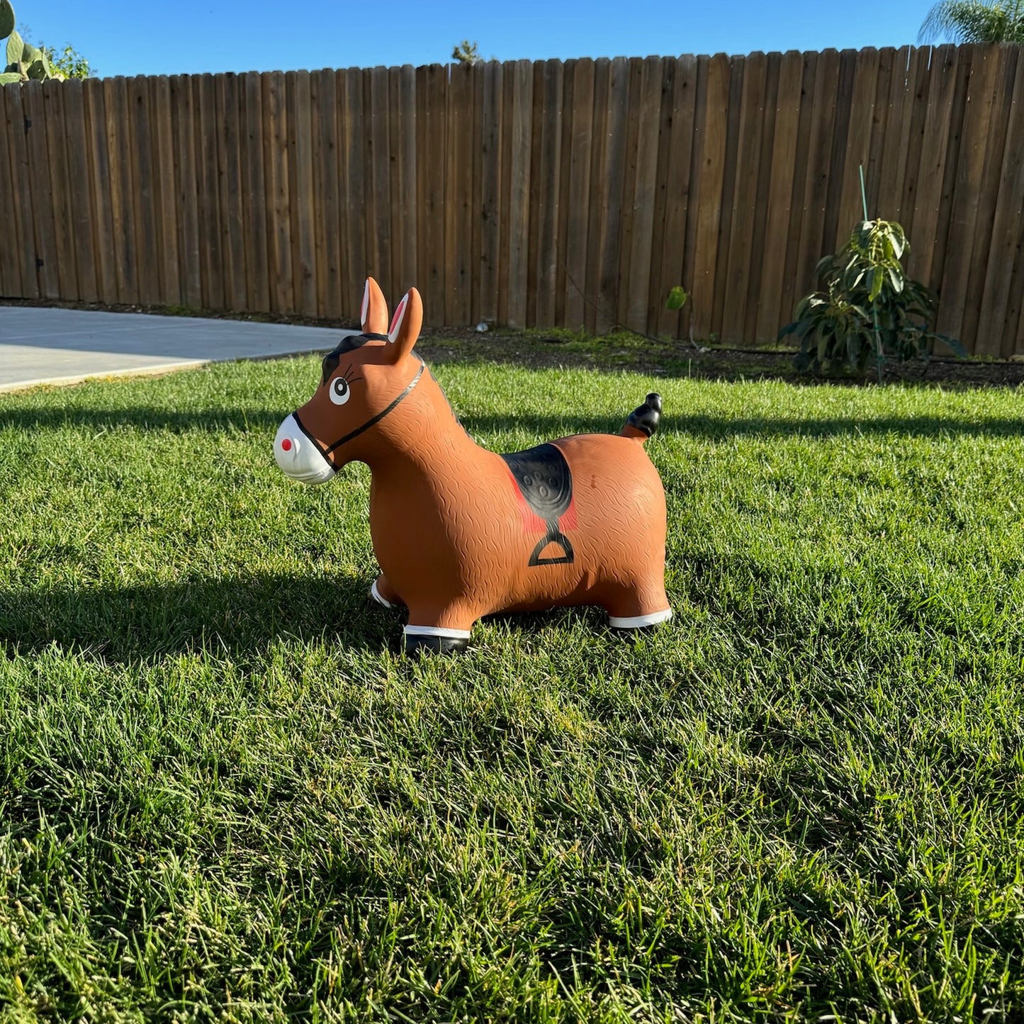 Toddler Hopper